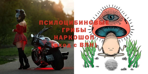 МДПВ Нефтегорск